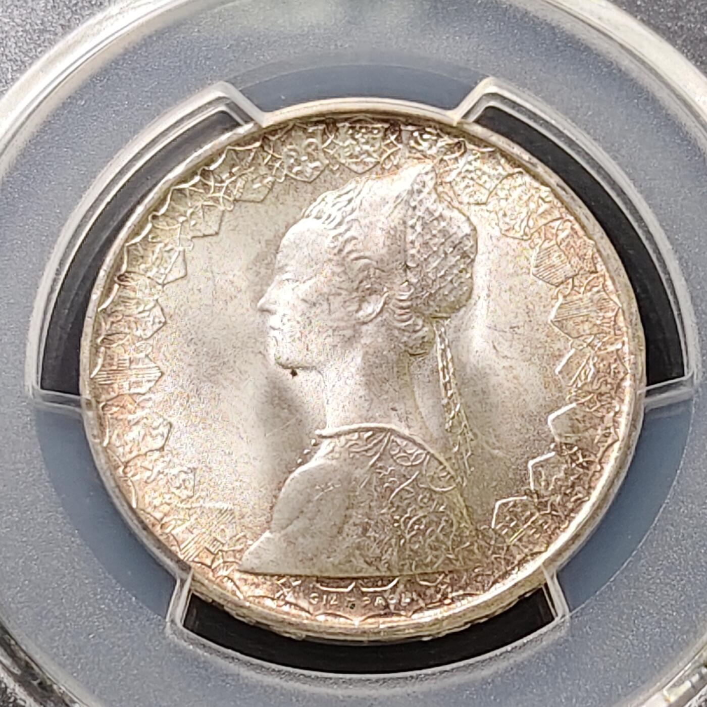 【全场包邮】纯粹捡漏拍487场（免费代拍第24场）