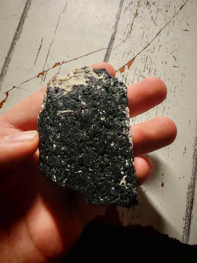 美国佛罗里达州海捞斯特拉大海牛Hydrodamalis gigas肋骨化石标本，距今约800万年，附赠一枚巨齿鲨牙齿标本级模型 - 美国佛罗里达州海捞斯特拉大海牛Hydrodamalis gigas肋骨化石标本，距今约800万年，附赠一枚巨齿鲨牙齿标本级模型