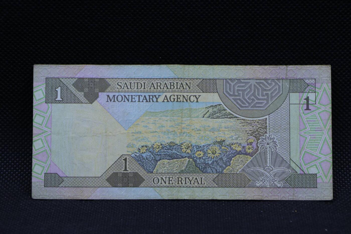 【淘币小摊】限时拍第八百三十拍  散币纸币邮票场  满百包邮可预留两周  周一统一发货   沙特1里亚尔纸币【有折】