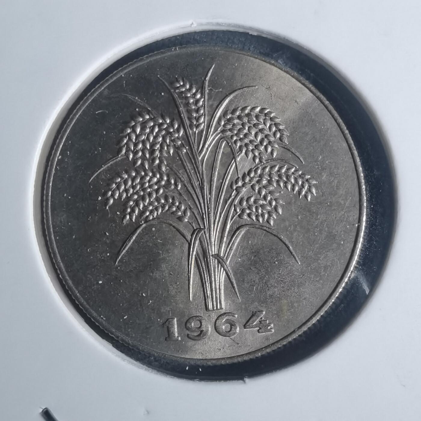 沼泽如烟--第932场