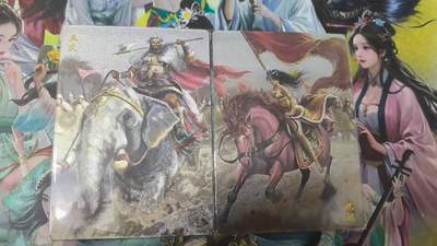 龙虎卡牌-六八场（无佣金，周六结拍，欢迎送拍） - 粗闪2张 锦绣三国 孟获祝融 对卡