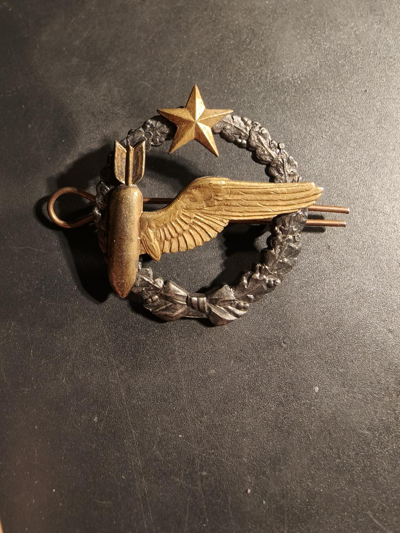 老王徽章第169期 法国空军投弹手学员证章