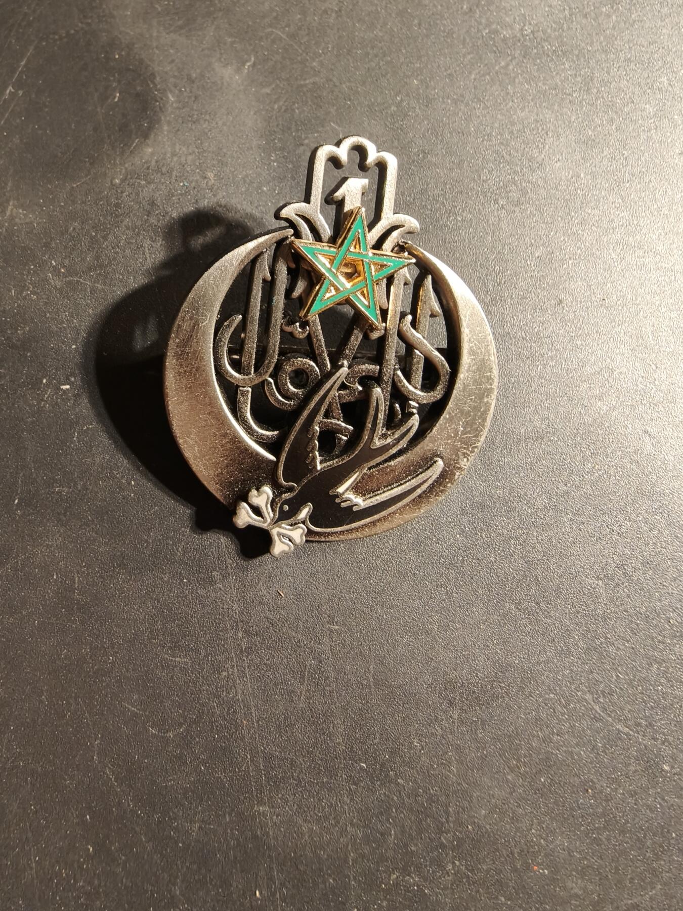 老王徽章第169期 法国陆军第1阿尔及利亚散兵团证章