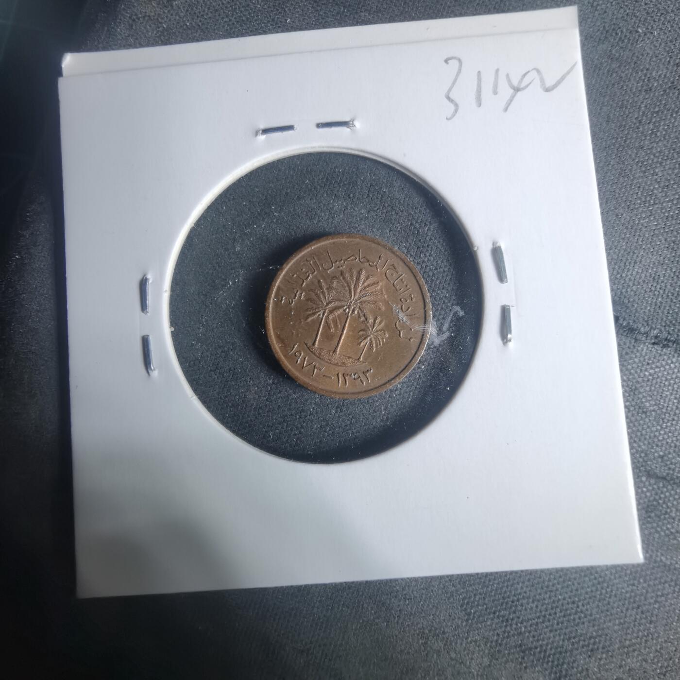 沼泽如烟--第931场 阿联酋