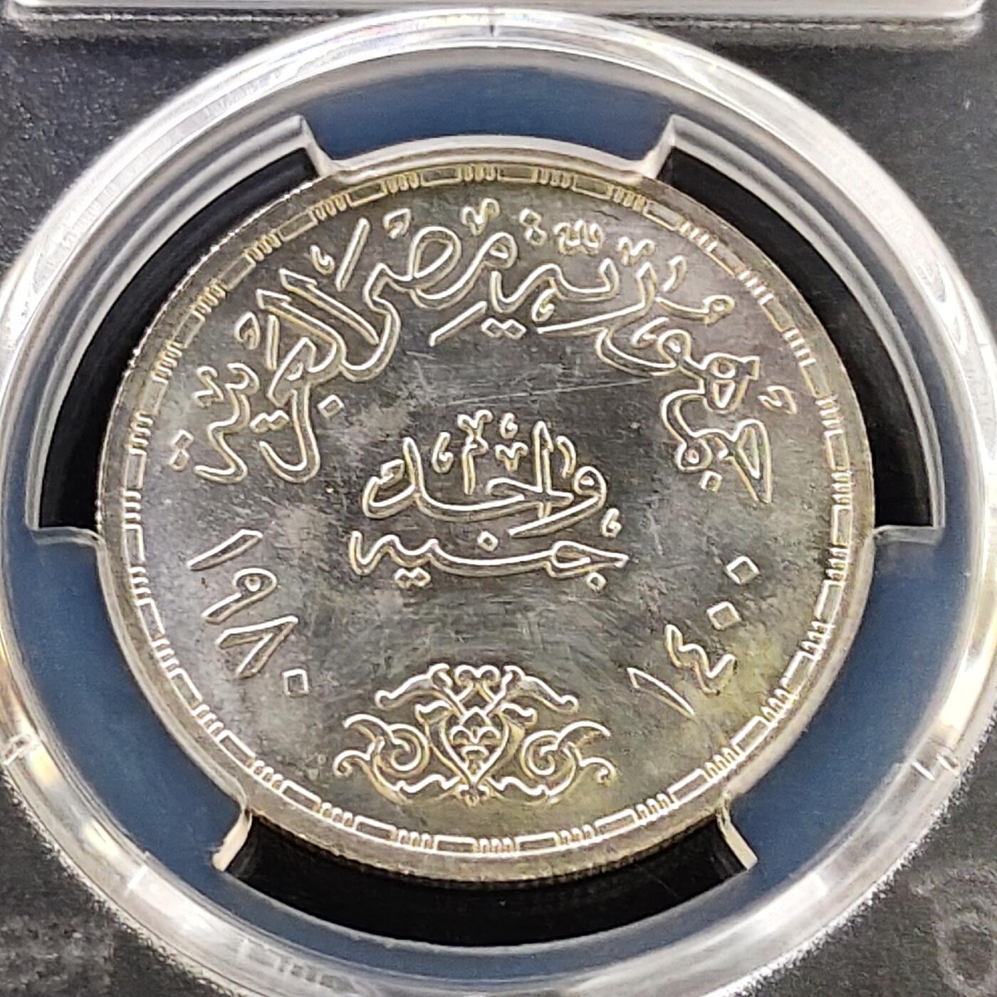 【全场包邮】纯粹捡漏拍487场（免费代拍第24场）