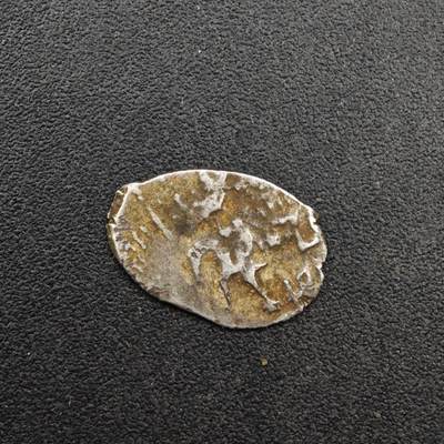 【淘币小摊】实时拍第八百二十七拍   散币场   满百包邮可预留二周 每周一统一发货   - 沙俄屠龙小银币