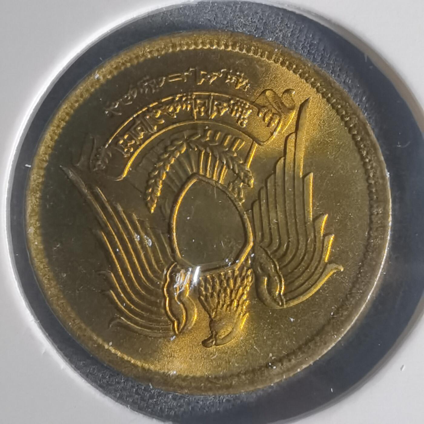 沼泽如烟--第932场 埃及