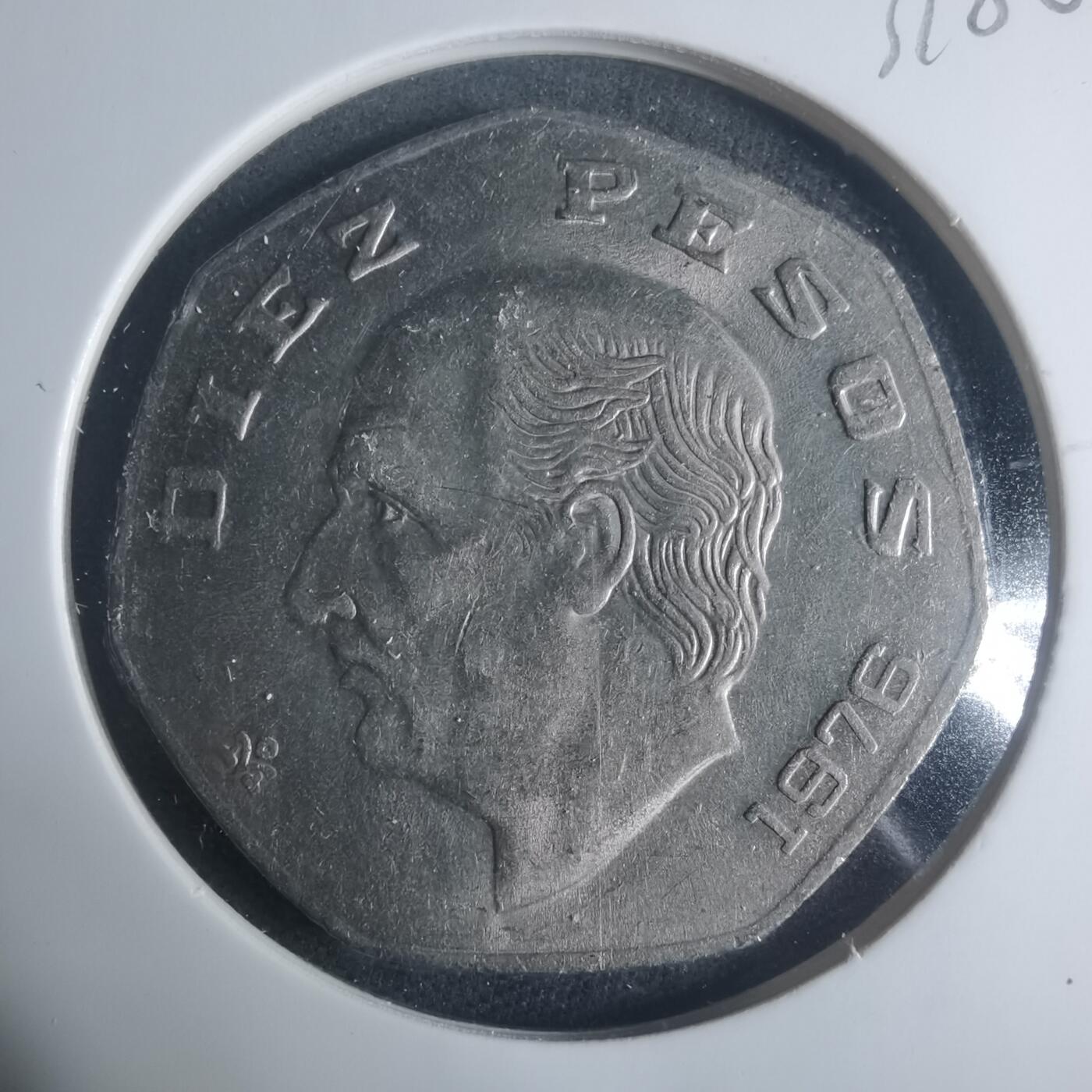 沼泽如烟--第931场