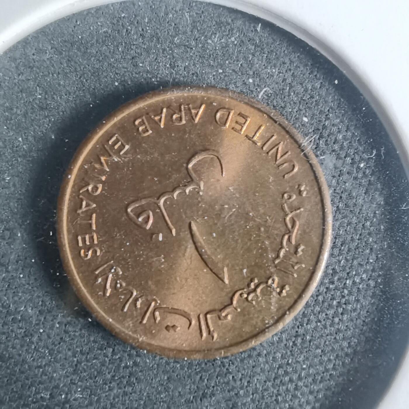 沼泽如烟--第931场 阿联酋