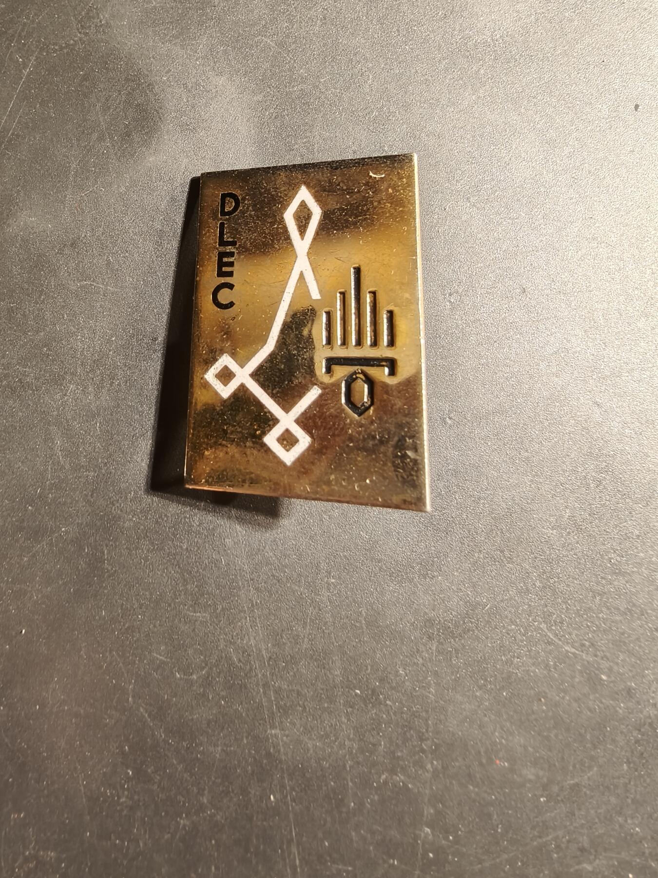 老王徽章第169期 法国外籍军团科摩罗支队证章      