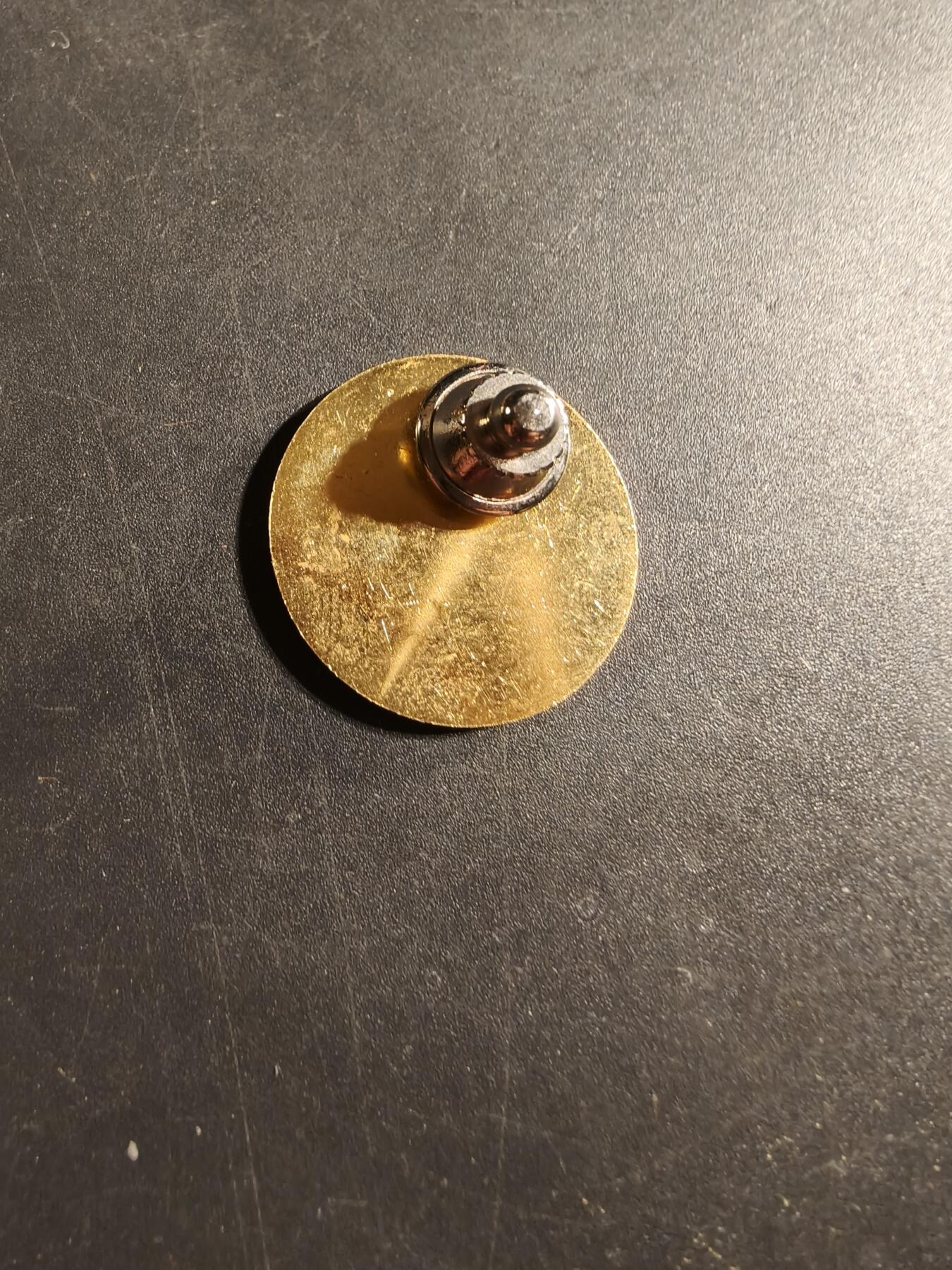 老王徽章第169期 美国西点军校军乐团徽章