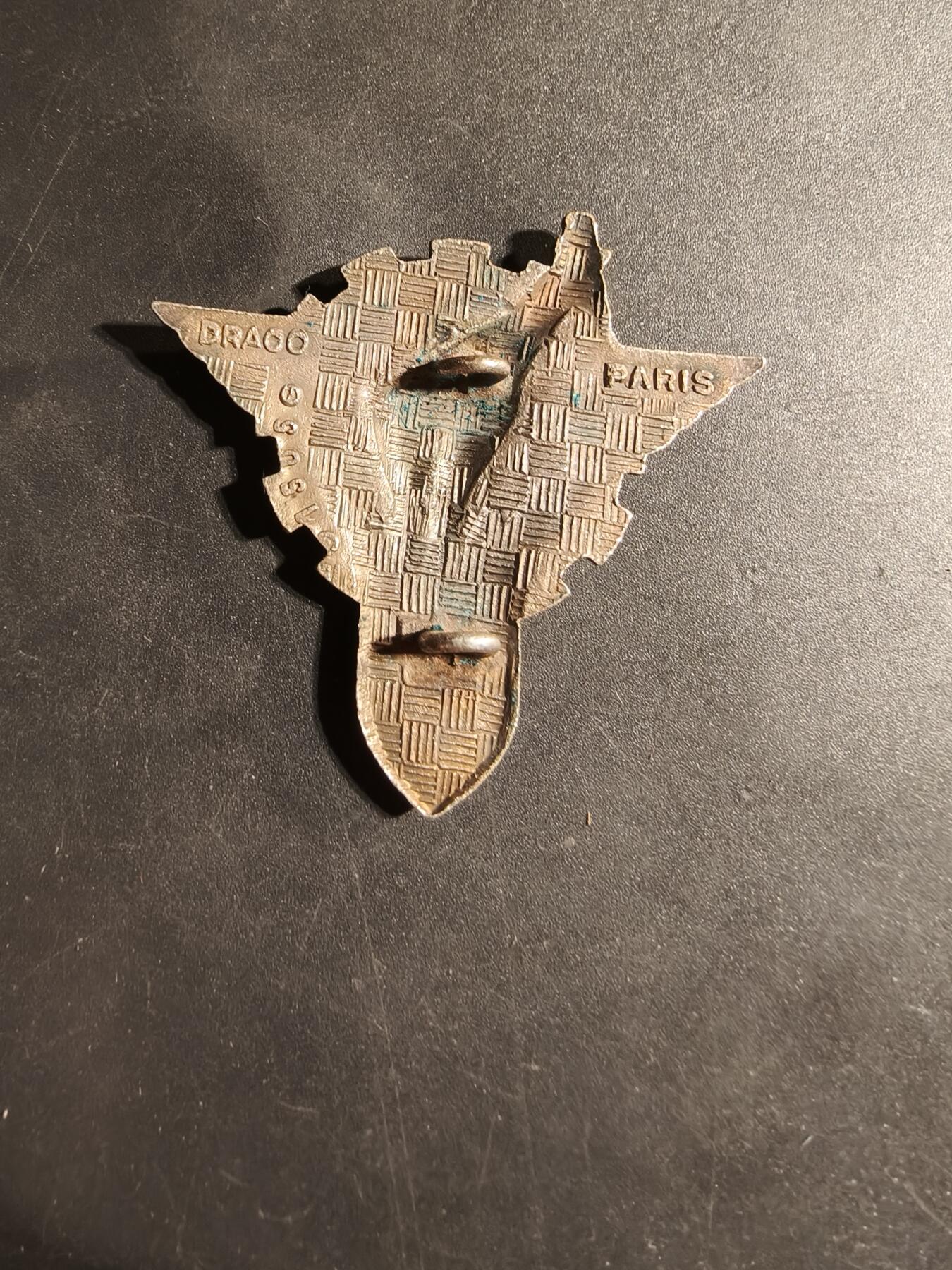 老王徽章第169期 法国陆军第425伞兵指挥与支援营证章