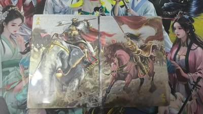 龙虎卡牌-六八场（无佣金，周六结拍，欢迎送拍） - 金边粗闪2张 锦绣三国 孟获祝融 对卡