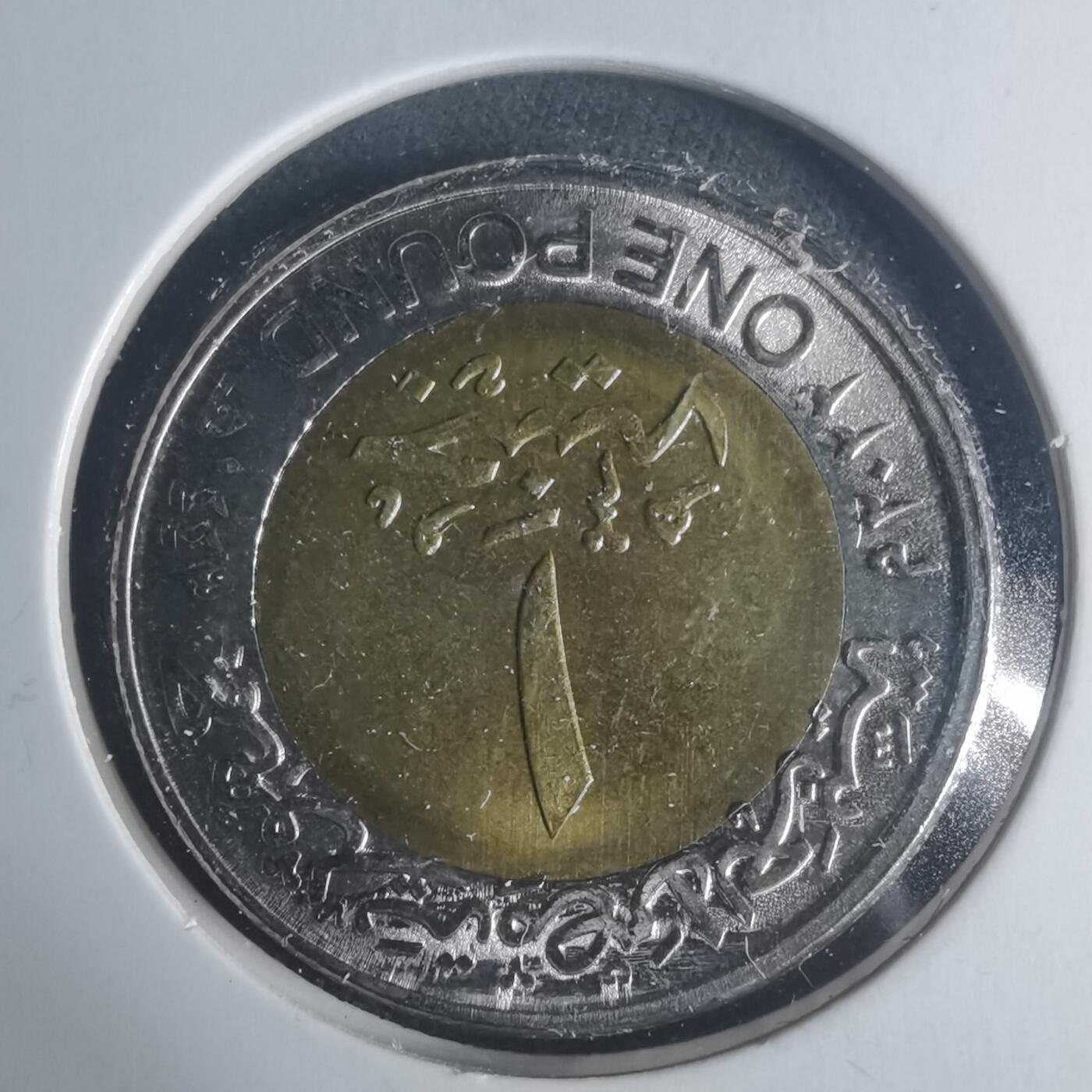 沼泽如烟--第931场 埃及2022年1磅