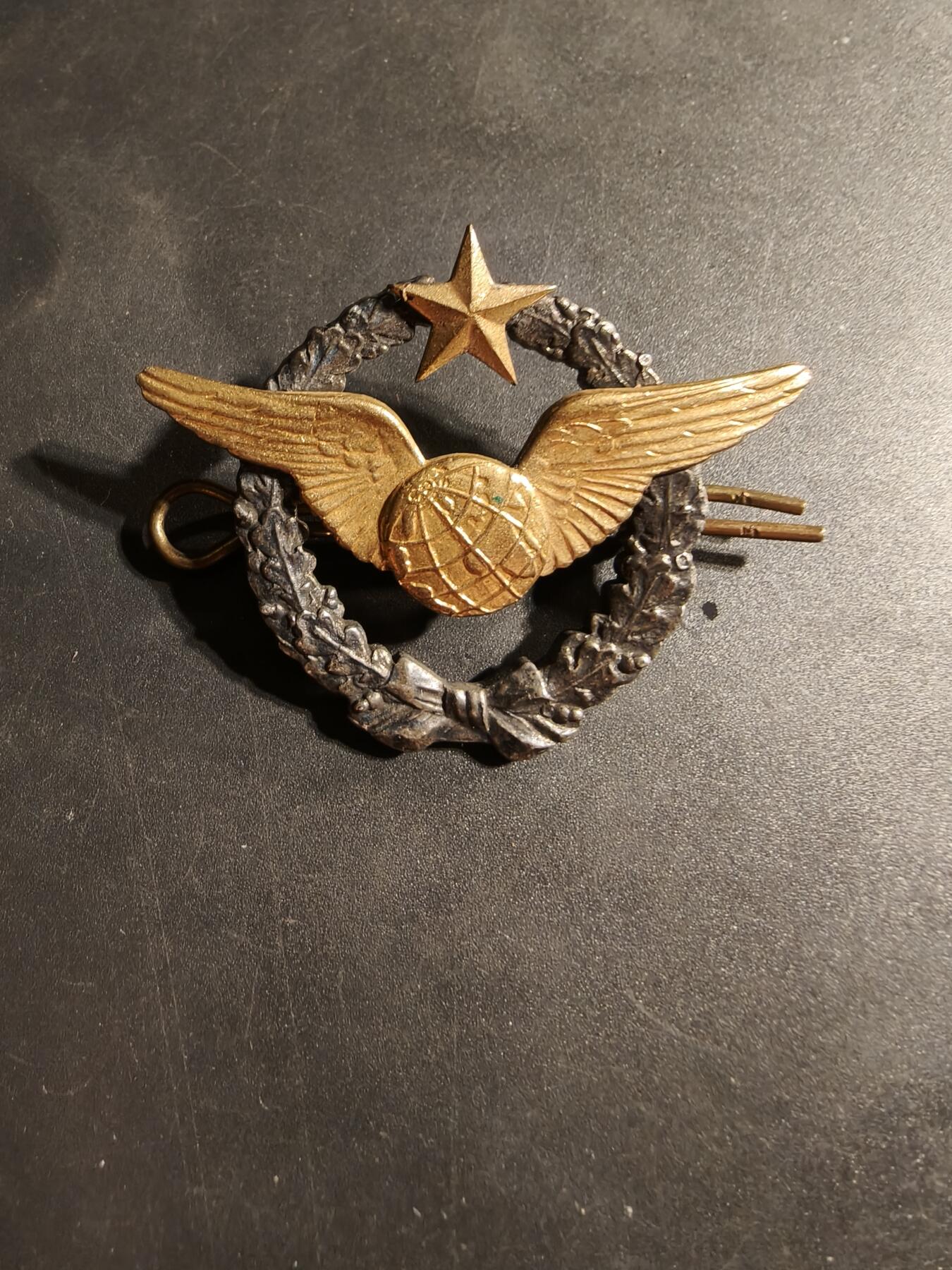 老王徽章第169期 法国空军领航员证章