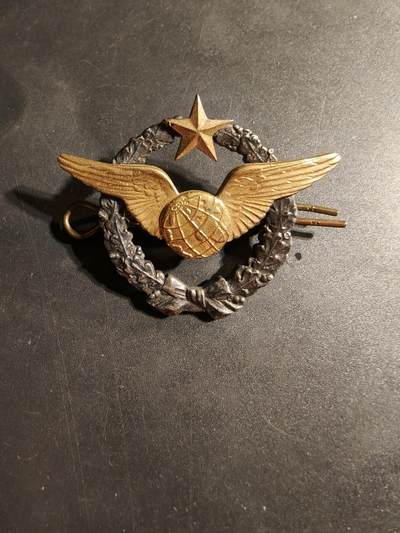 老王徽章第169期 - 法国空军领航员证章