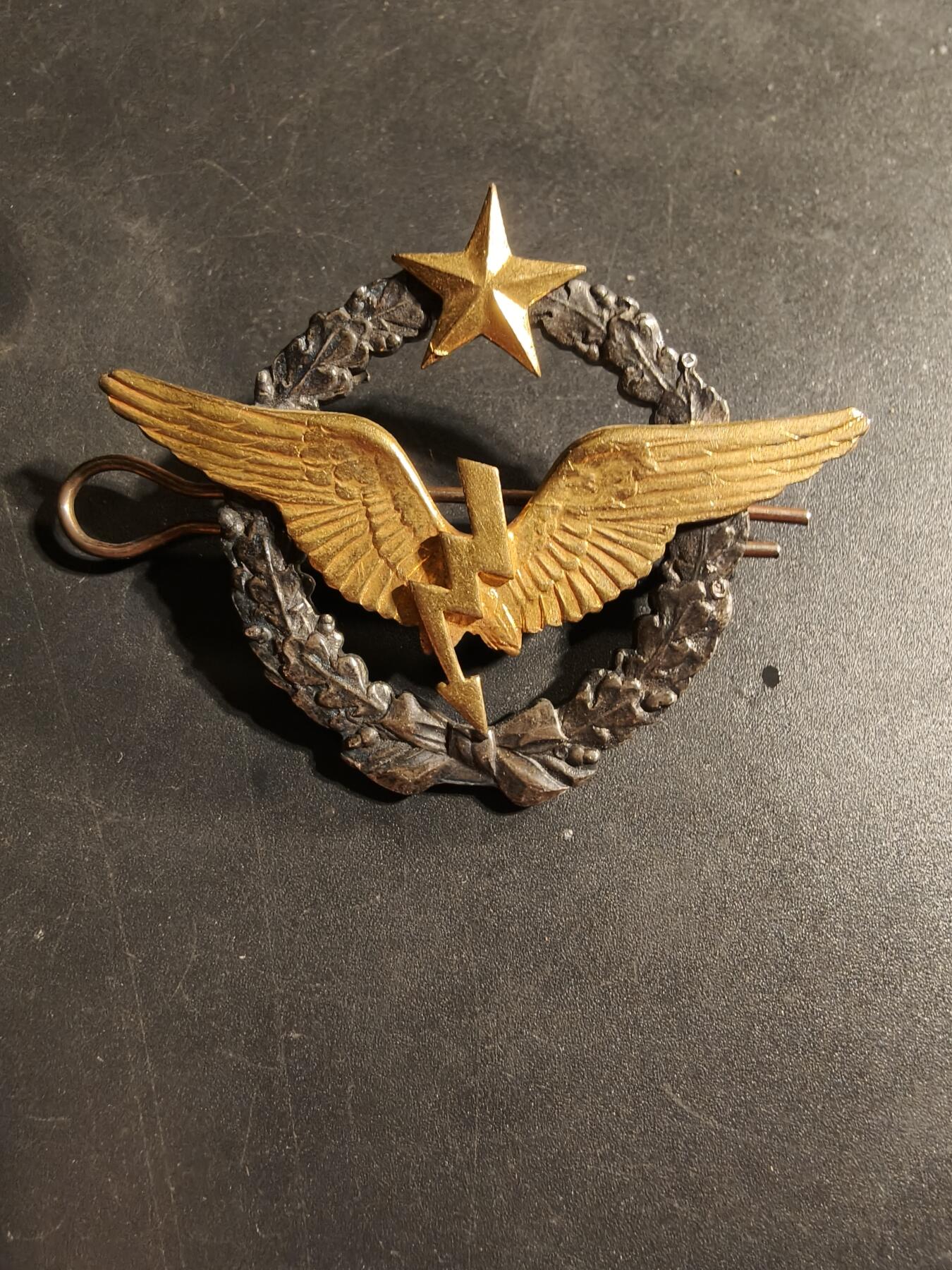 老王徽章第169期 法国空军无线电操作员证章