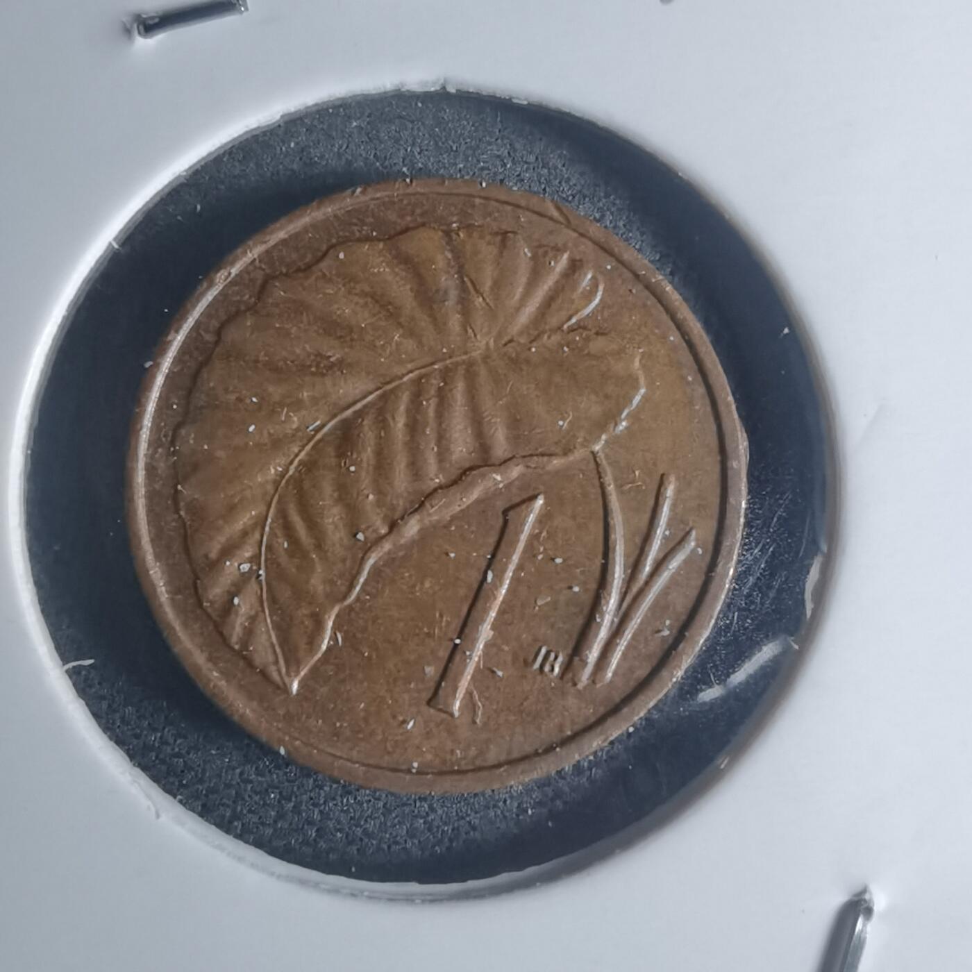 沼泽如烟--第932场 库克1974年一分