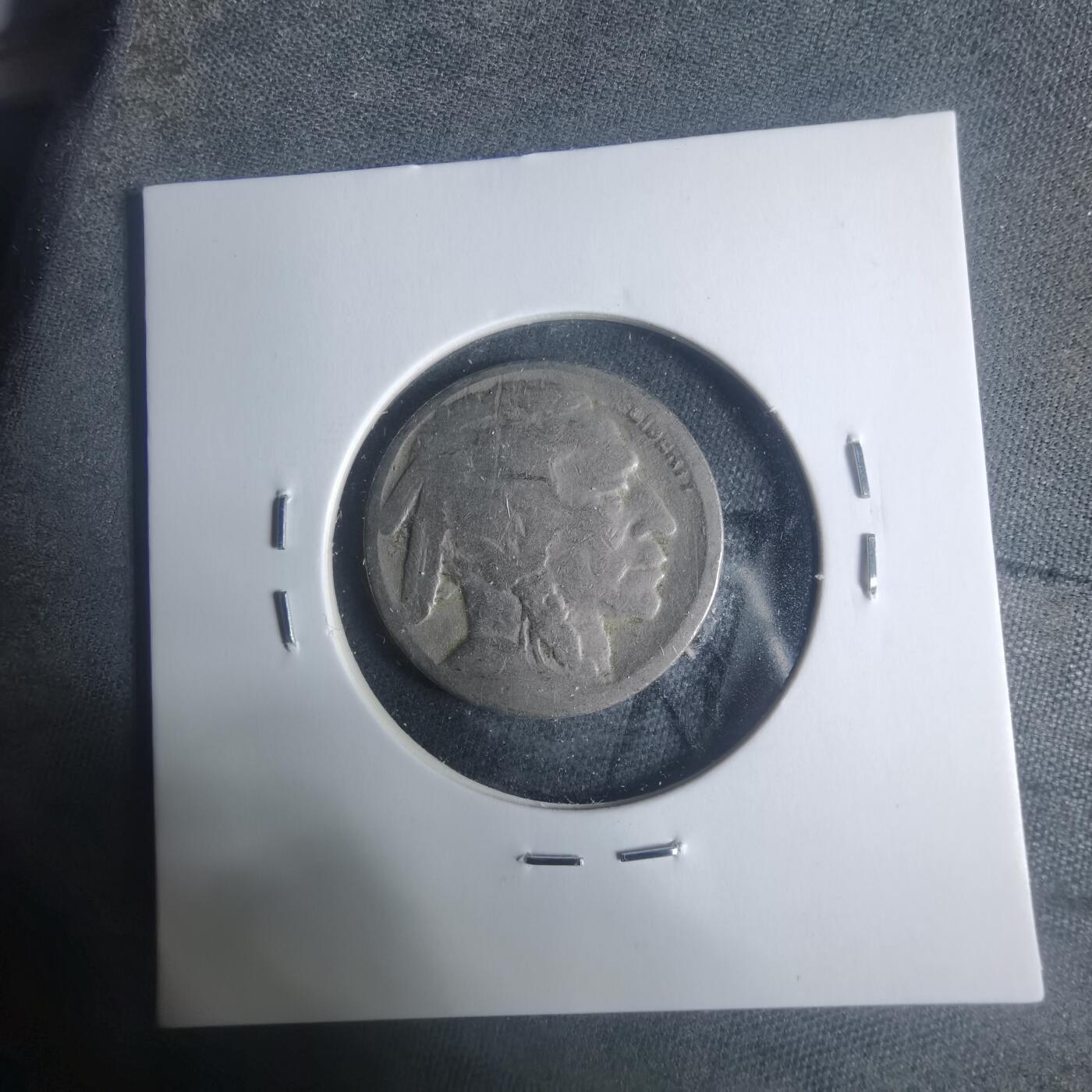 沼泽如烟--第931场 美国野牛五分