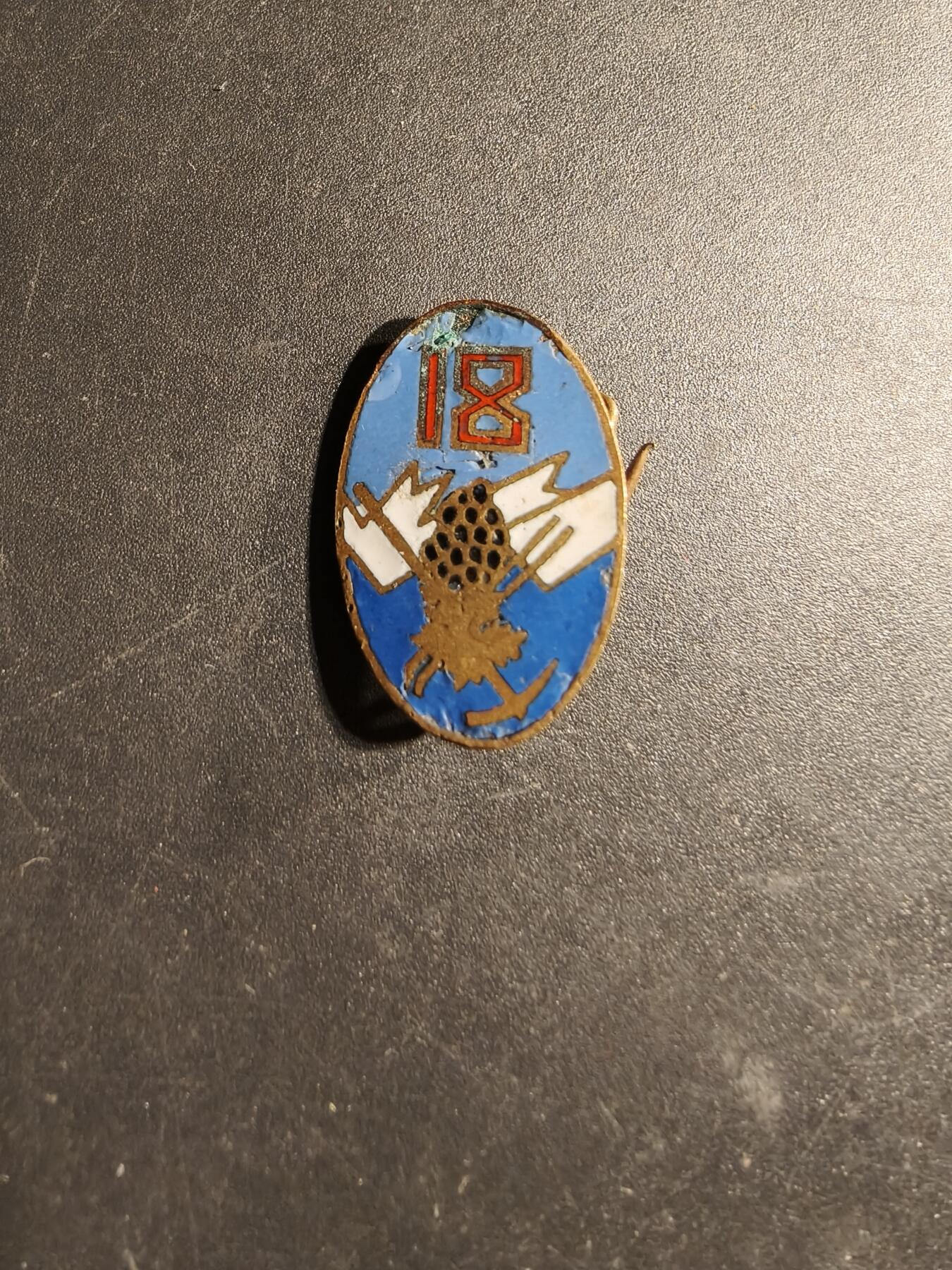 老王徽章第169期 法国陆军第18山地团证章