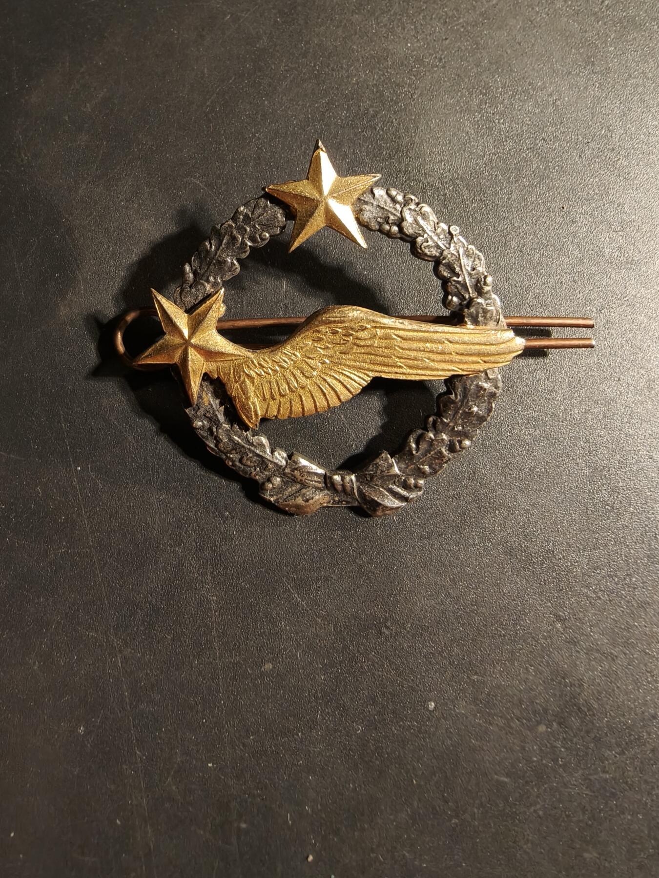 老王徽章第169期 法国空军飞行员学员证章