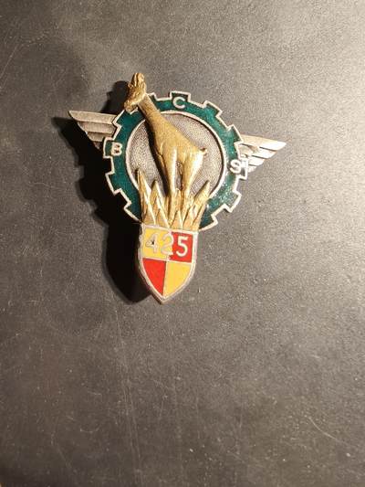 老王徽章第169期 - 法国陆军第425伞兵指挥与支援营证章