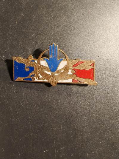 老王徽章第169期 - 法国北非安全行动军事行动证章