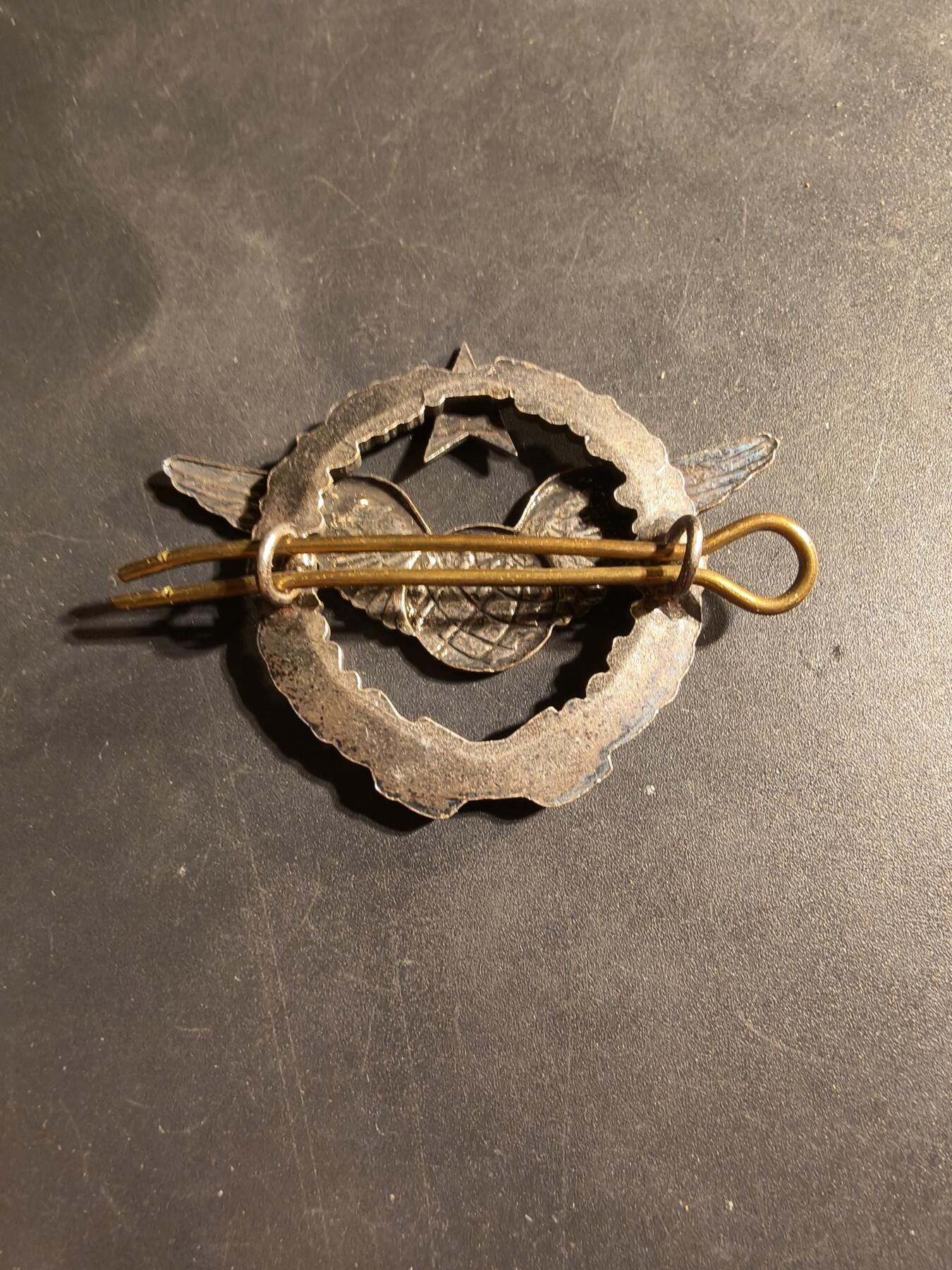 老王徽章第169期 法国空军领航员证章