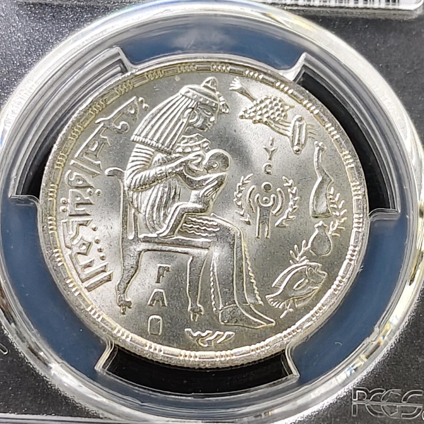 【全场包邮】纯粹捡漏拍487场（免费代拍第24场） 【收藏级】埃及1979年1镑FAO国际儿童年纪念银币-PCGS MS67（更高分仅5枚）