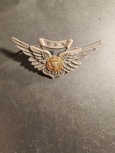 老王徽章第169期 - 美国海军/海军陆战队战斗机组人员技能章     带厂标    梅耶厂