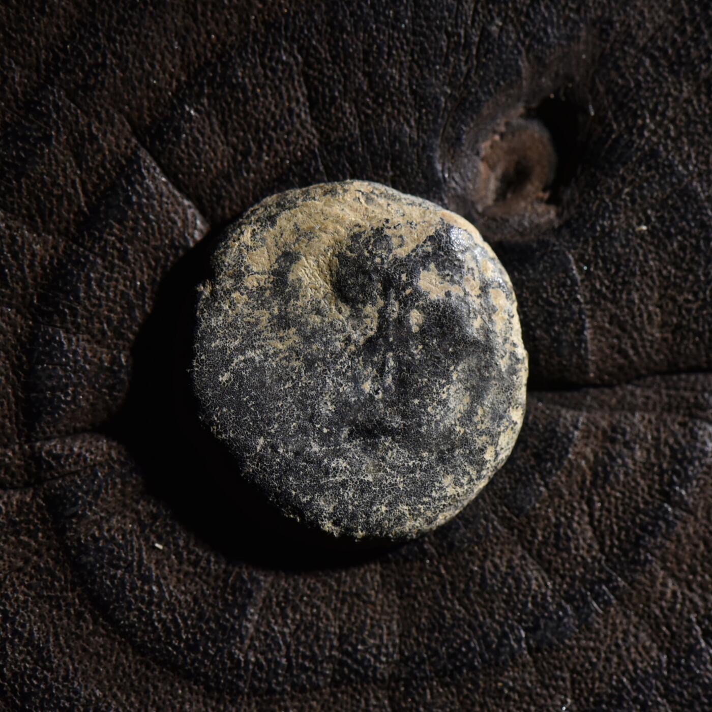 【良泉】【元旦直播场】1月1日晚19.30点开拍！208组西方古代钱币、日本朝鲜花钱 公元前125-121年【古希腊】安条克八世【猫头鹰】铜币，2.36克