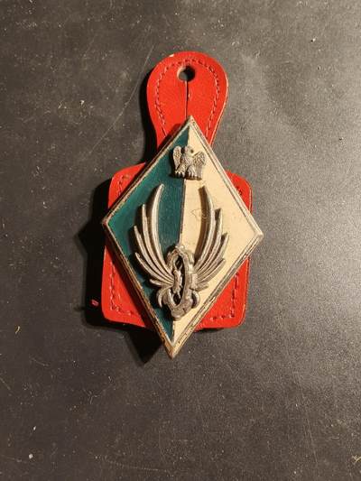 老王徽章第169期 - 法国陆军运输部队司令部证章