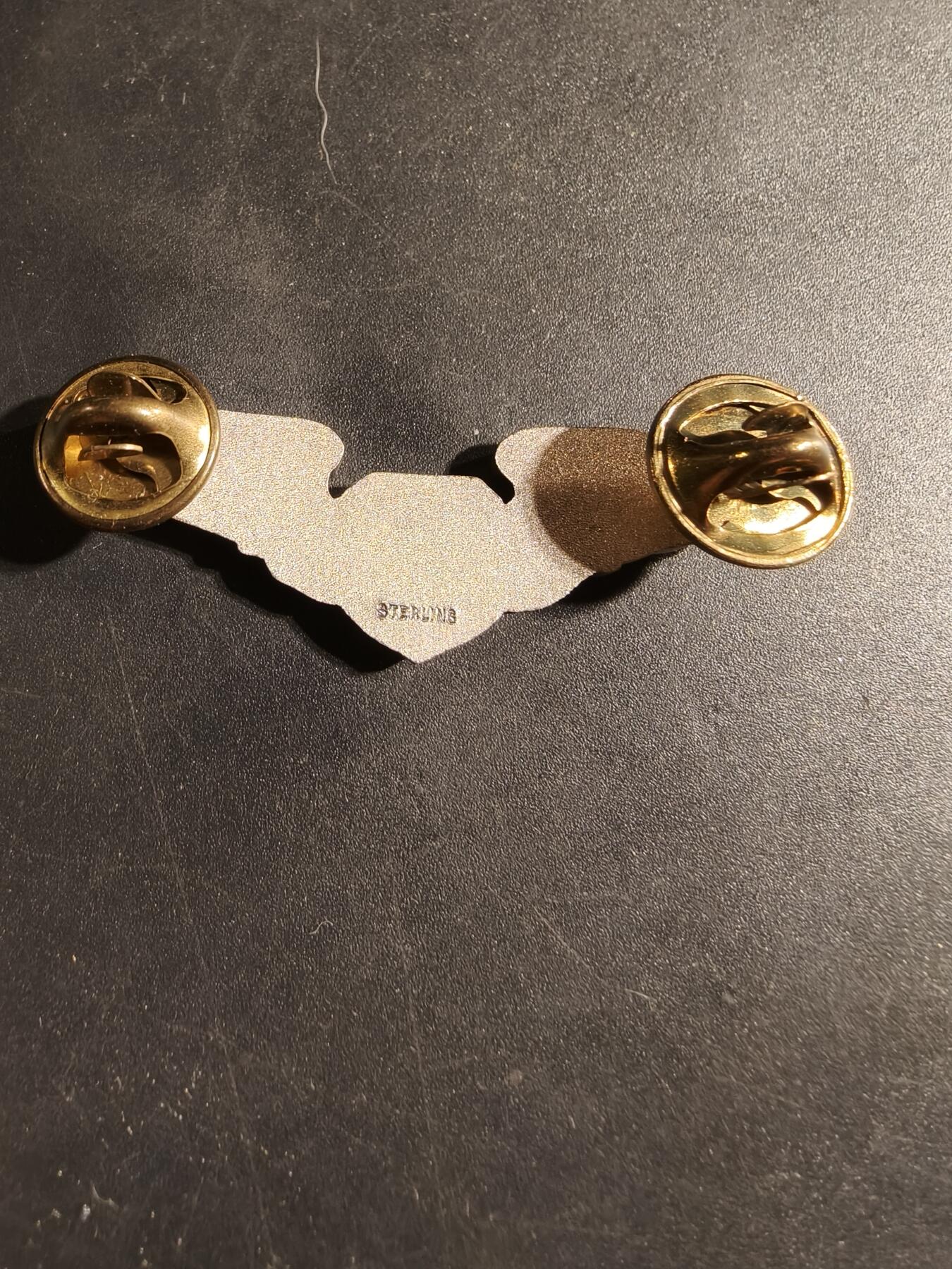 老王徽章第169期 美国空军军医技能章    925银    2英寸