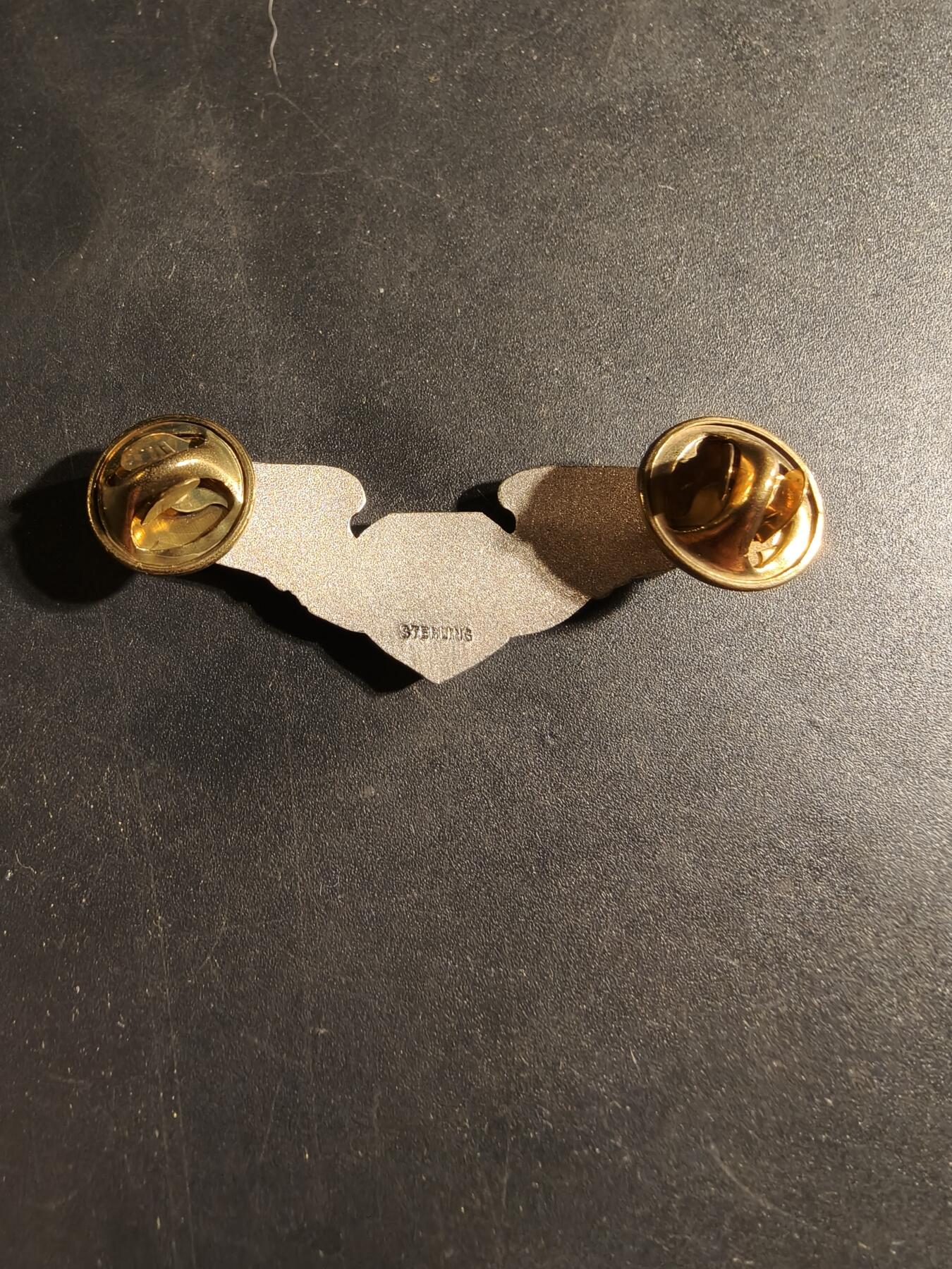 老王徽章第169期 美国空军军医技能章    925银    2英寸