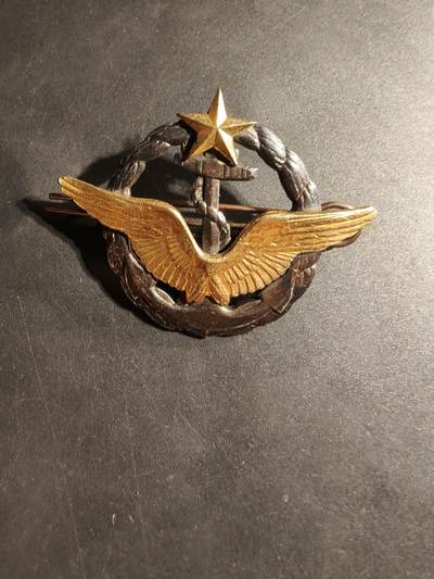 老王徽章第169期 - 法国海军航空兵飞行员证章