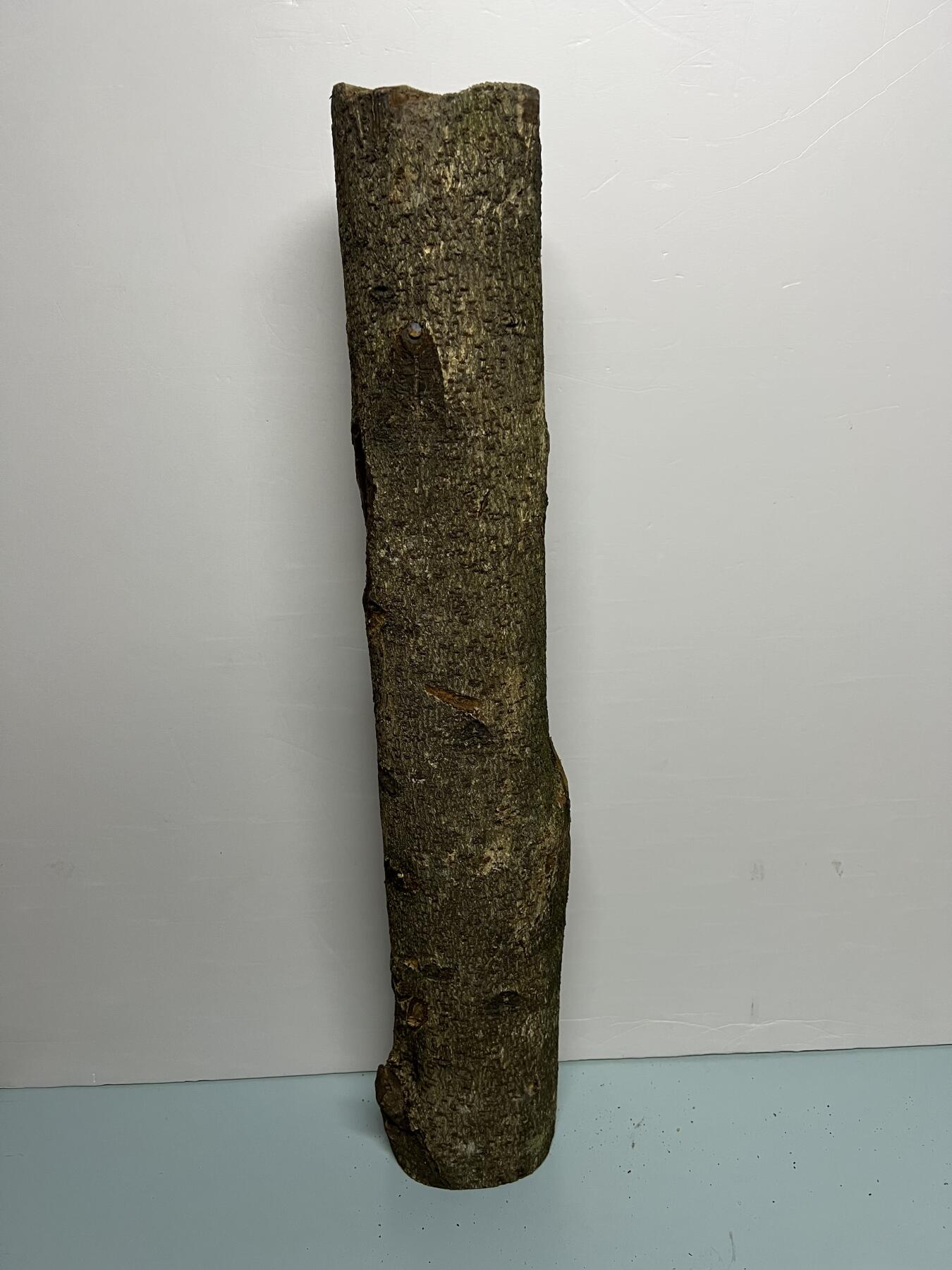 零元拍： D1-2 金丝楠 原木 风水柱 横财（材）带皮， 尺寸：75/11.5/13.5CM。抛光后金灿灿满香。最后一图为成品效果。有一端带点瘤，意味着花纹更漂亮。