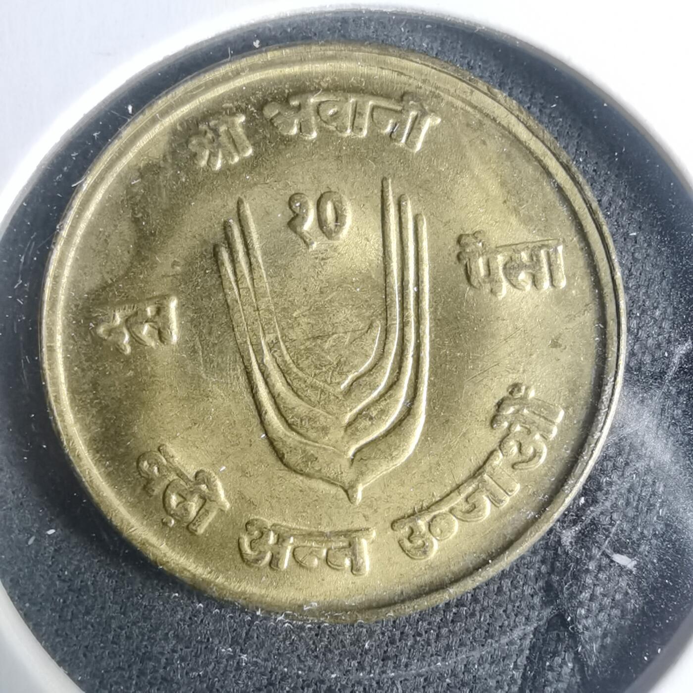 沼泽如烟--第931场 尼泊尔