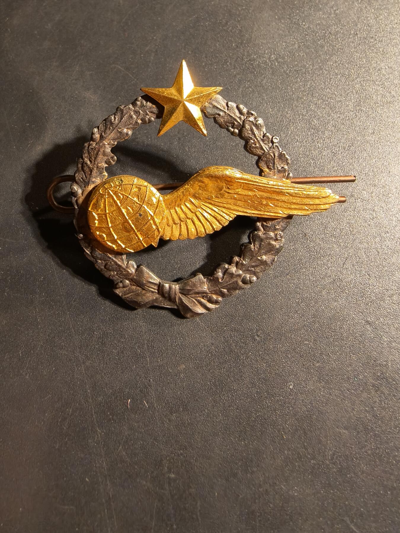 老王徽章第169期 法国空军领航员学员证章