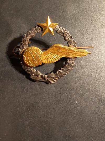 老王徽章第169期 - 法国空军领航员学员证章