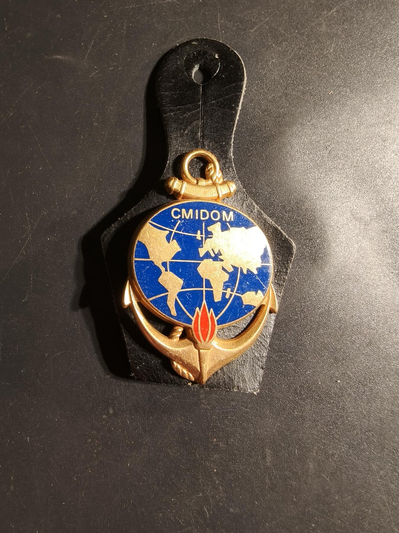 老王徽章第169期 法国海外信息与文献军事中心证章     