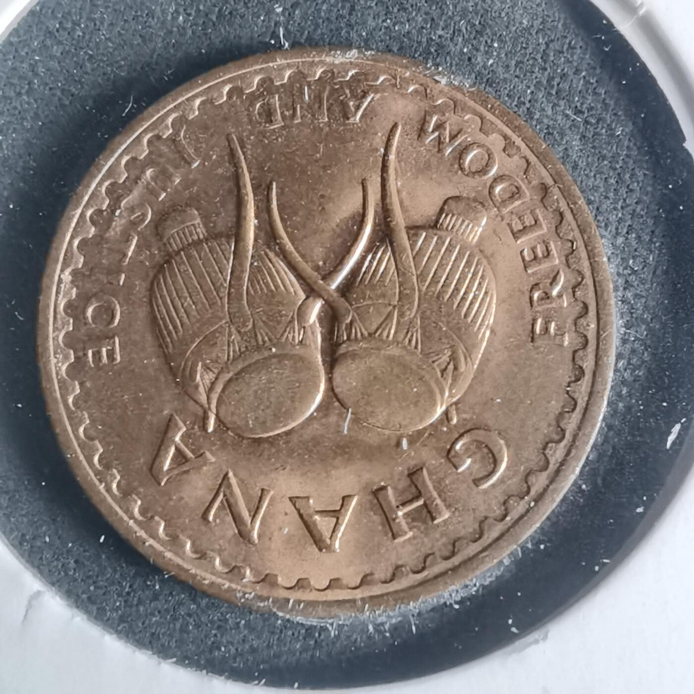 沼泽如烟--第931场