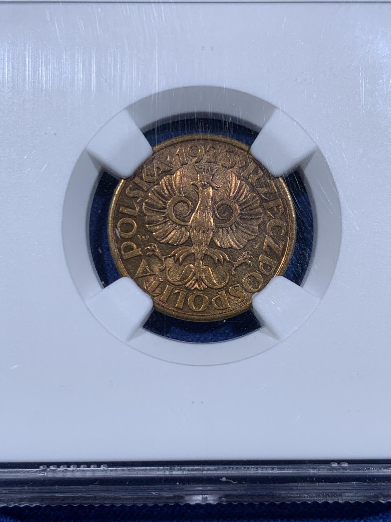 《竞宝斋》第447场 周日，周一，2场连拍 （全场包邮） NGC MS64 波兰1923年5格罗申黄铜币 高分铜光充沛