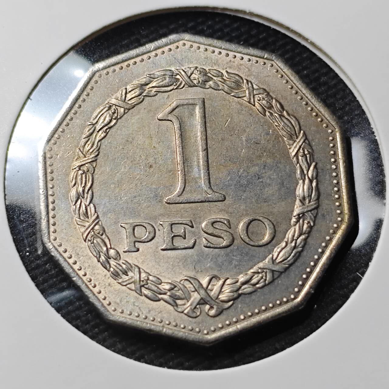 KK钱币收藏小铺 第379期  2月预留时间 周末发货