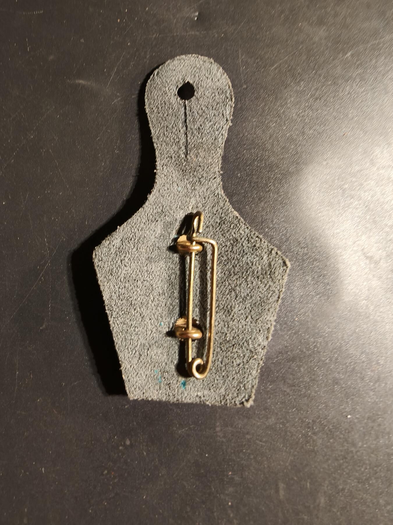 老王徽章第169期 法国海外信息与文献军事中心证章     