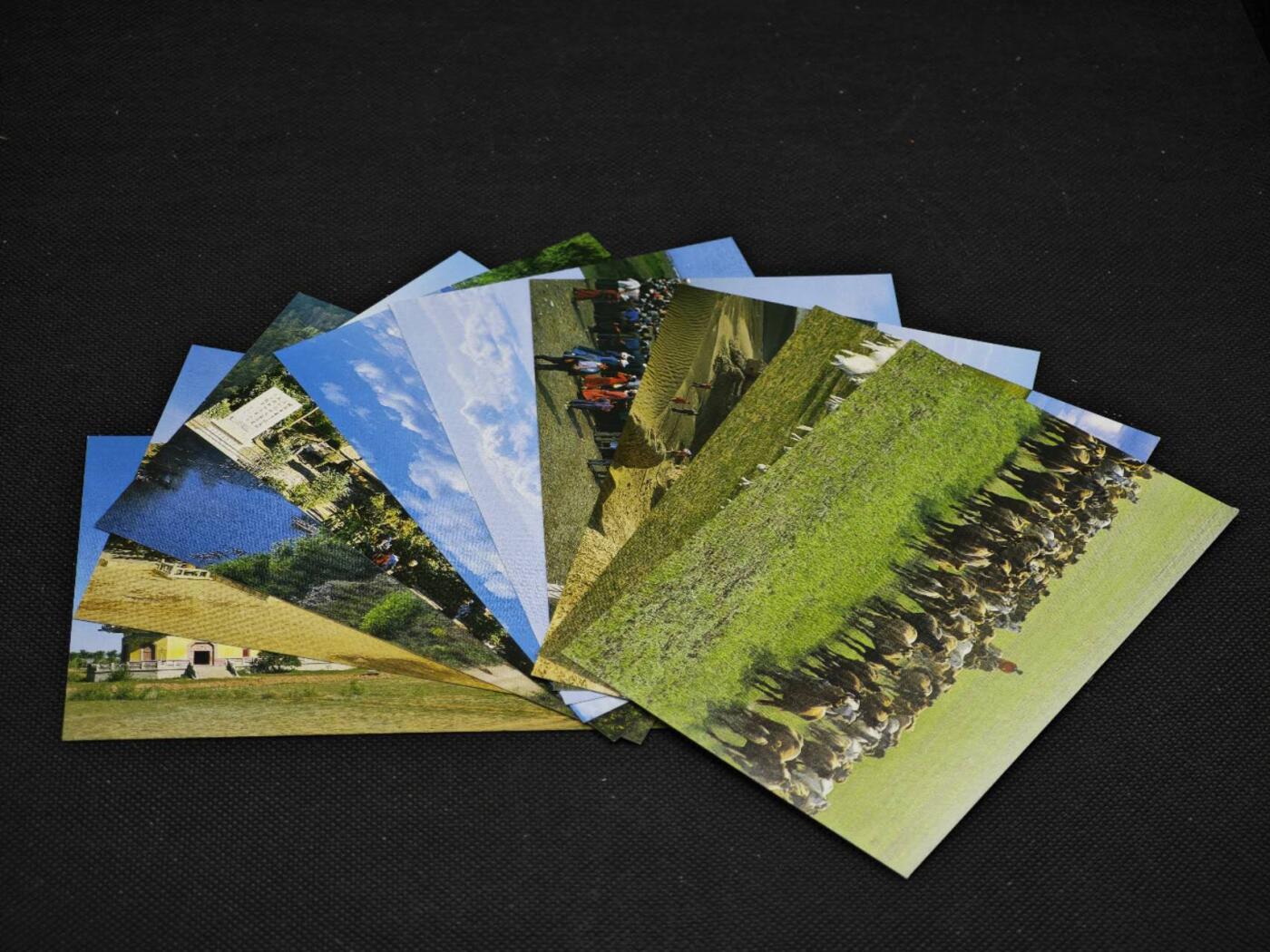 【淘币小摊】限时拍第八百三十拍  散币纸币邮票场  满百包邮可预留两周  周一统一发货   内蒙古风光邮资明信片10张