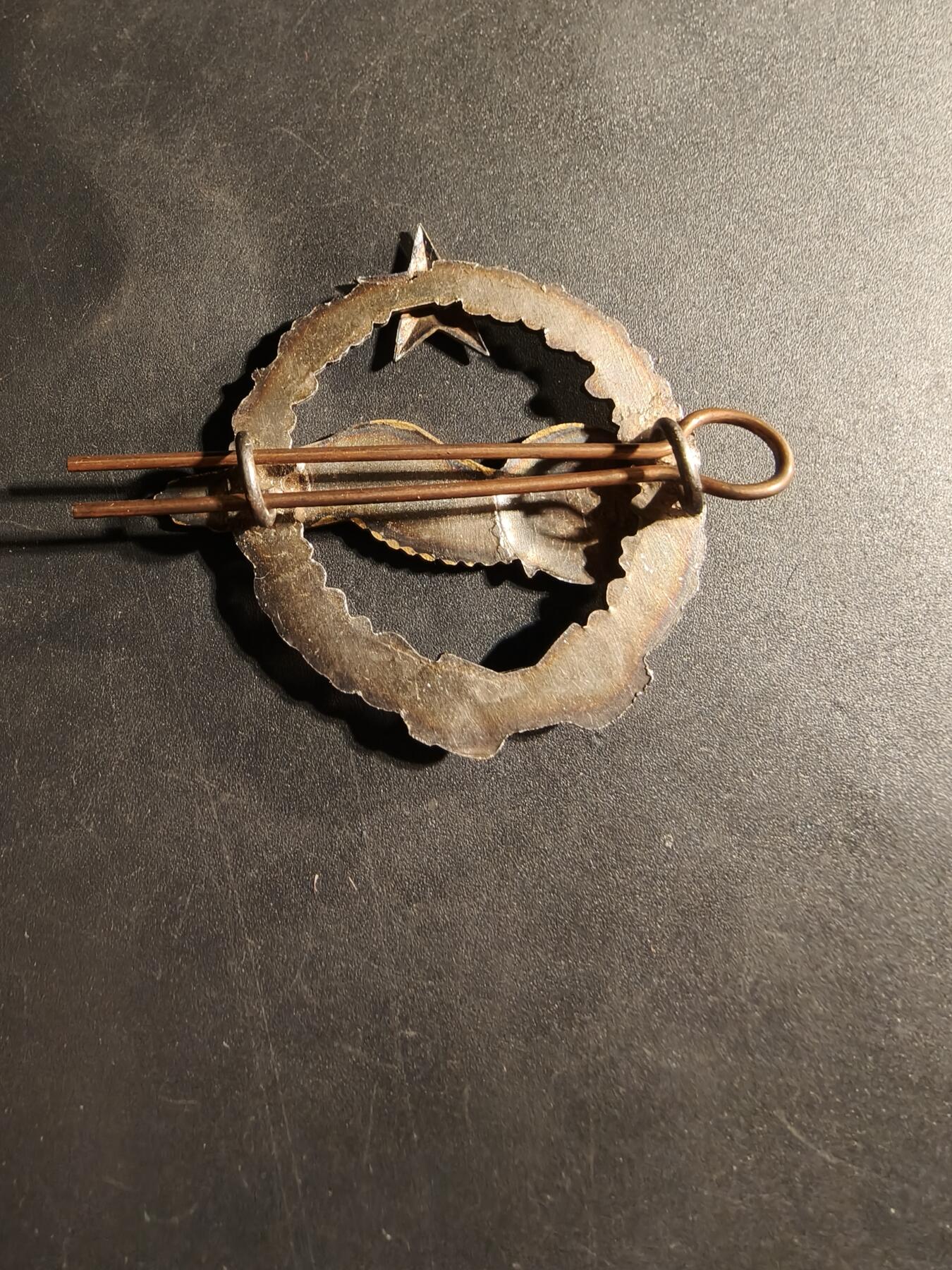 老王徽章第169期 法国空军领航员学员证章