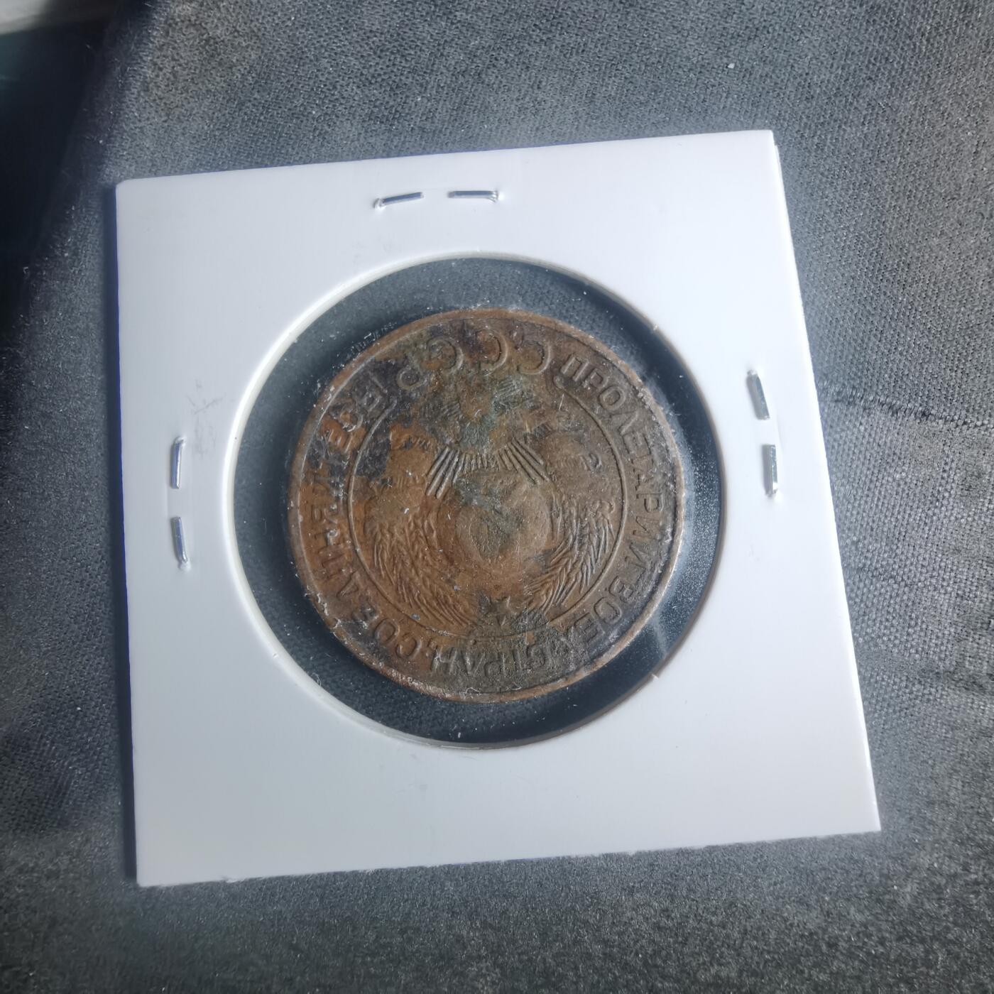 沼泽如烟--第931场