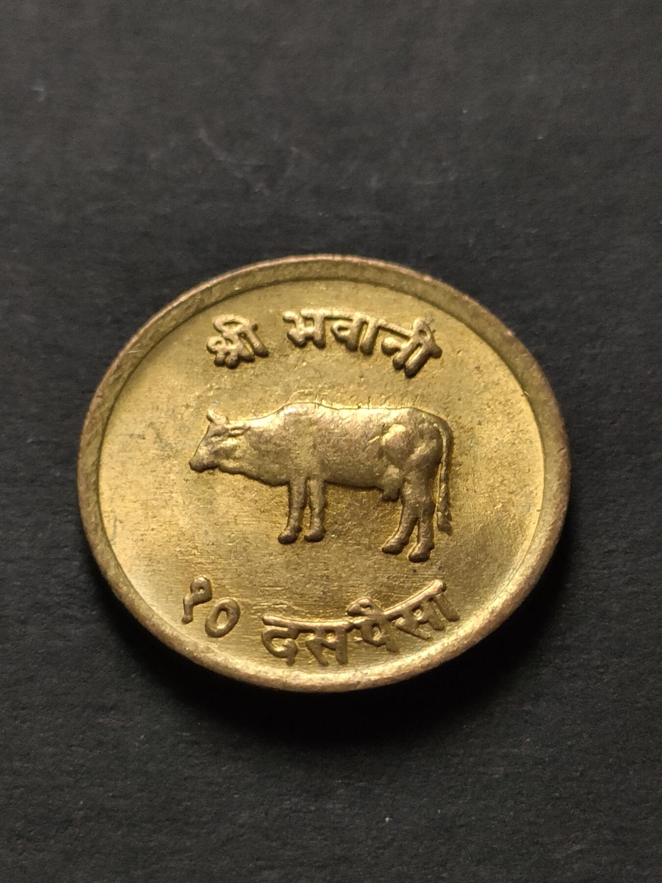 猩哥外币小铺➨【第208场】 牛