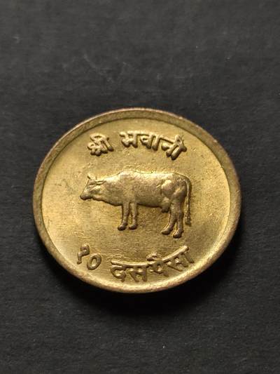 猩哥外币小铺➨【第208场】 - 牛