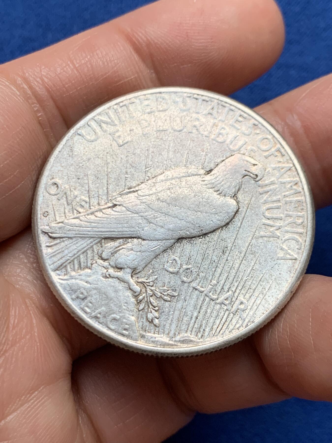 《竞宝斋》第447场 周日，周一，2场连拍 （全场包邮） 美国1922年和平鸽1美元银币